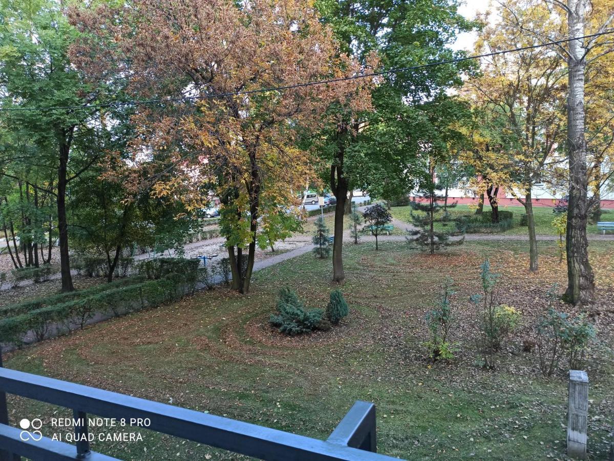 Studio Park Slaski Katowice/Хожув Экстерьер фото